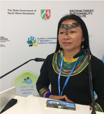 First women president of amazon rainforest