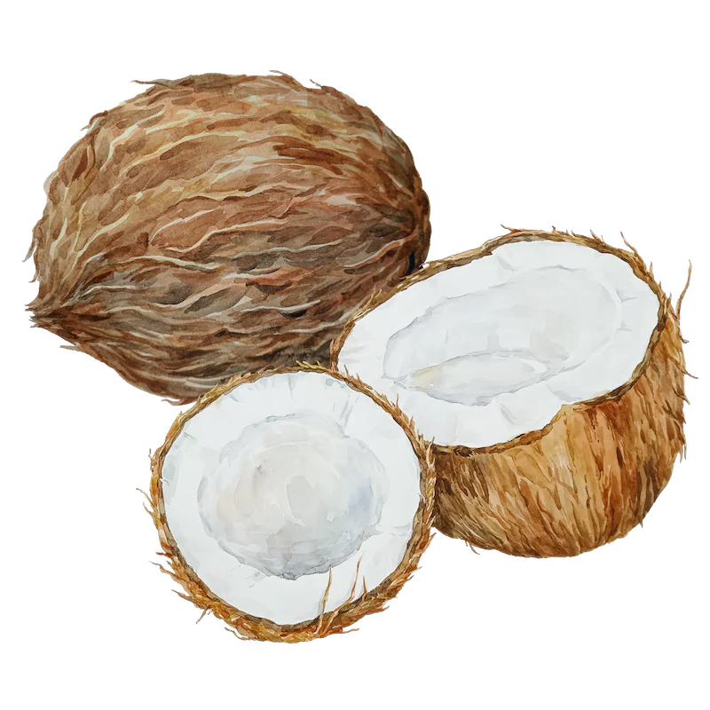 Coconut Oil