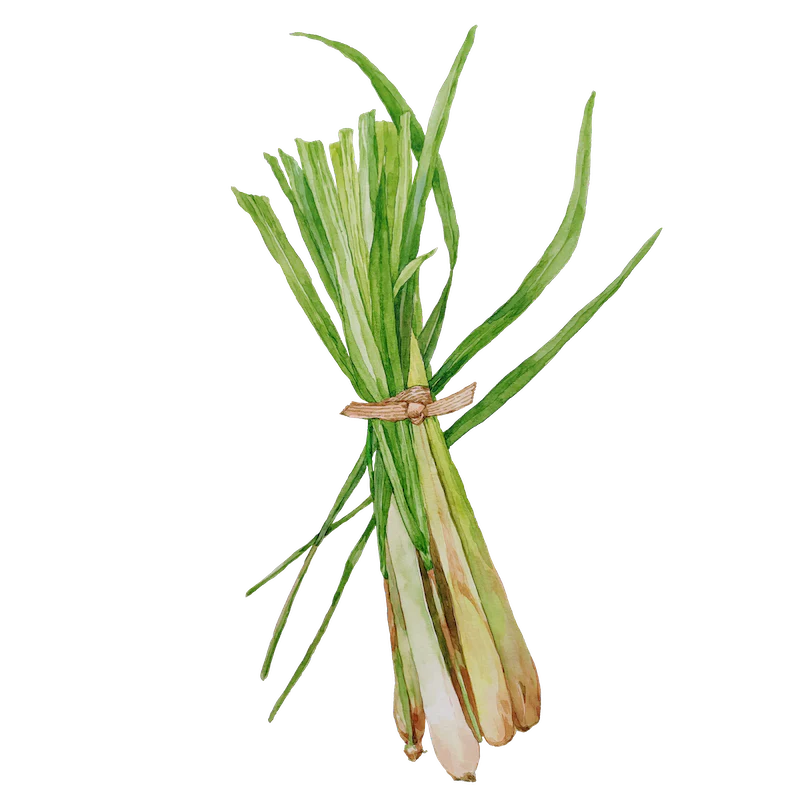 Lemongrass