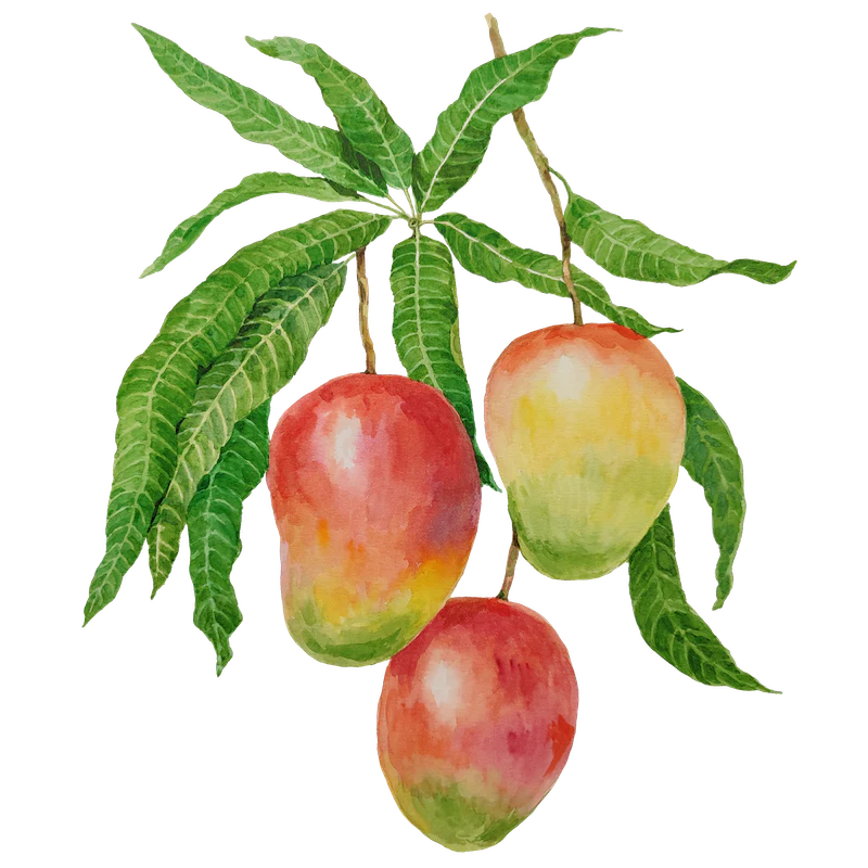 Mango Sugars