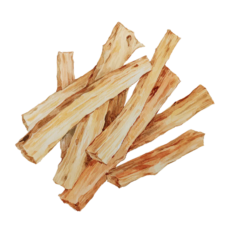 Palo Santo Oil