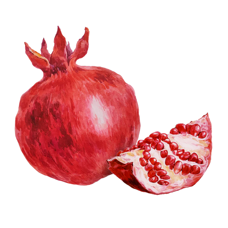 Pomegranate Extract
