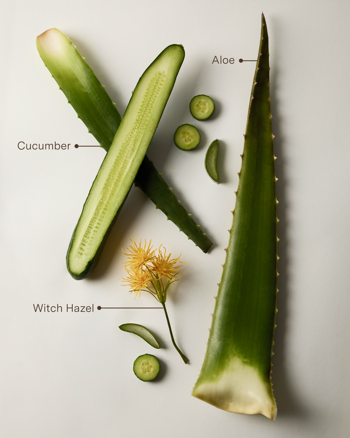 Rahua Aloe Vera Conditioner Travel 3.3 oz