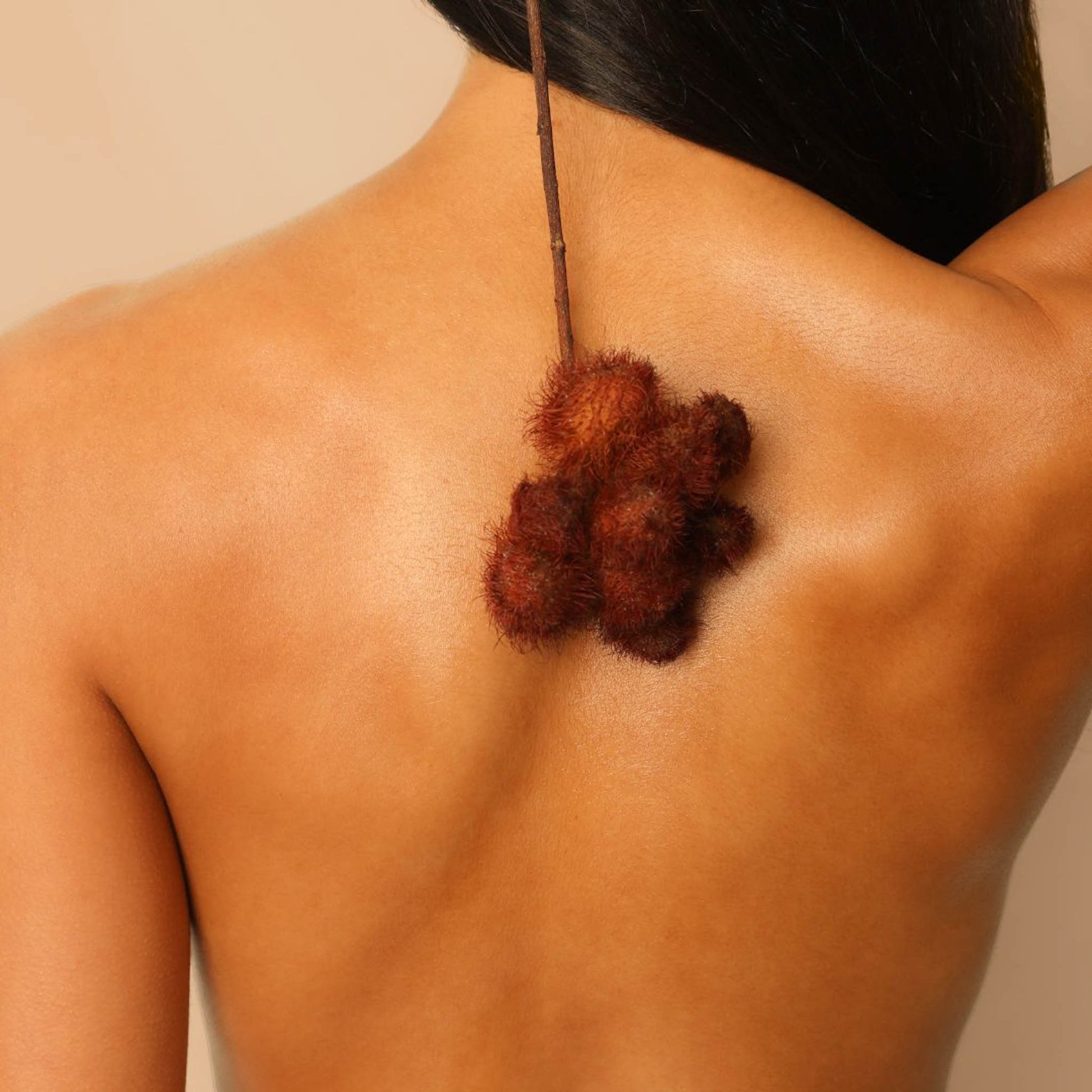 Model holding achiote raw ingredient behind back