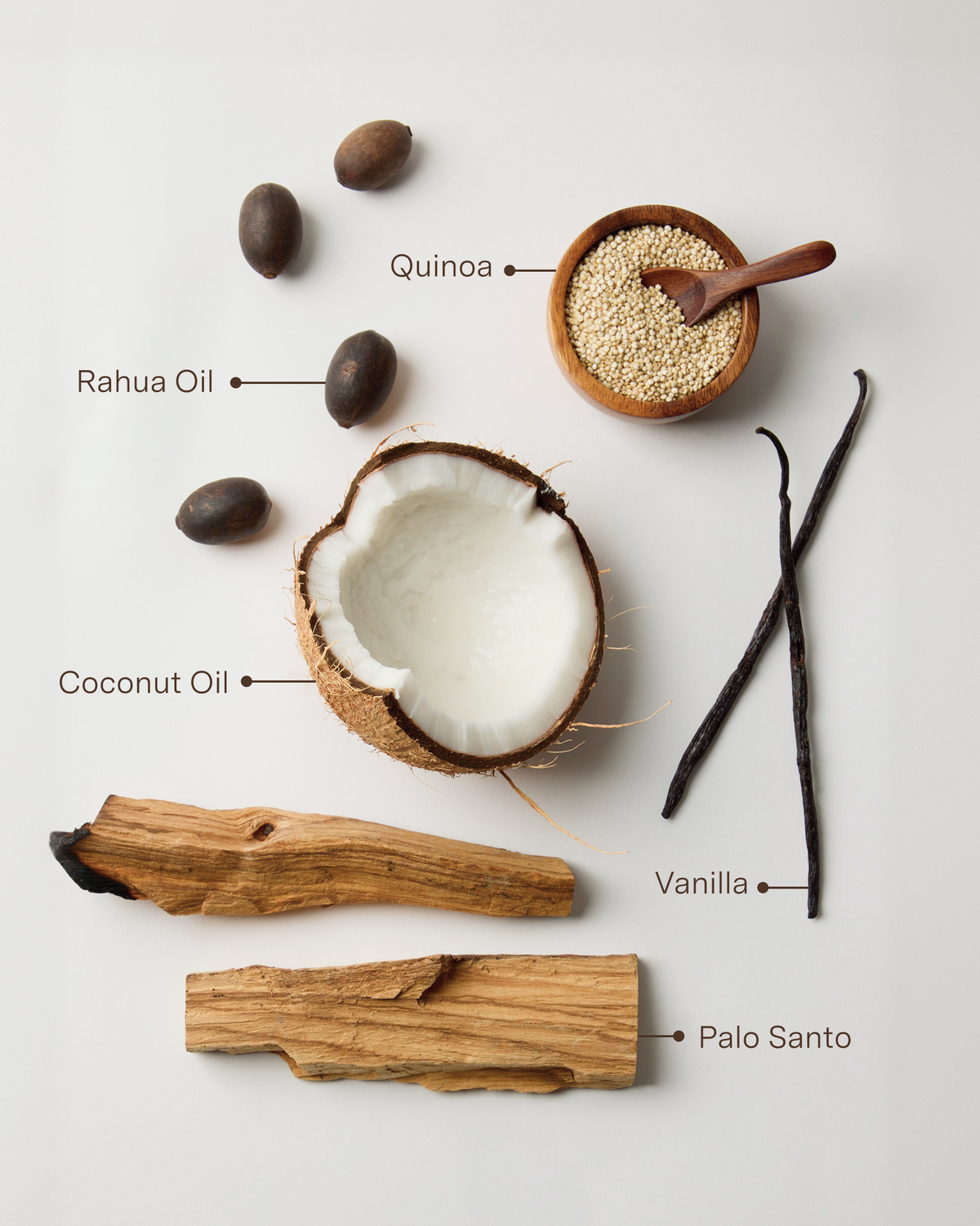 The Root Ritual