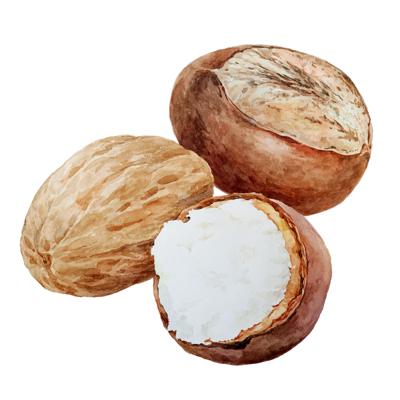 Shea Butter